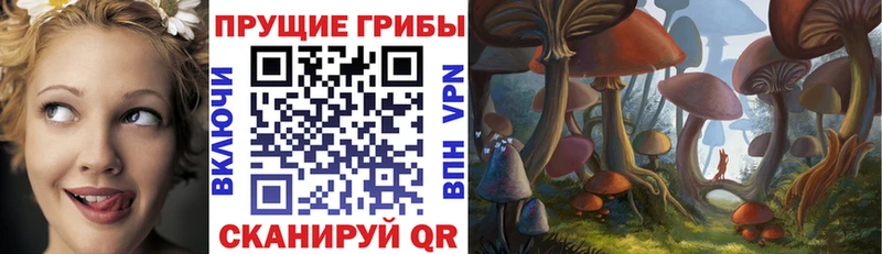 Псилоцибиновые грибы Magic Shrooms  Купить где  Симферополь 